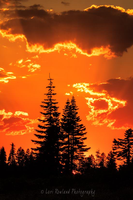 Eastern Oregon Firey Sunset