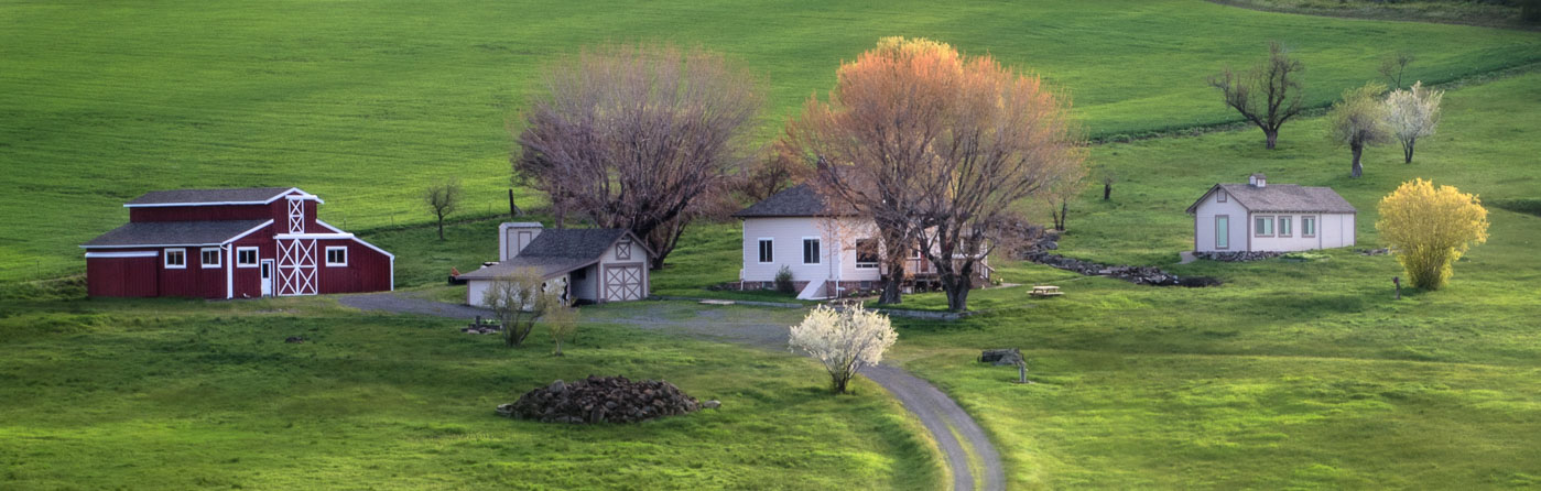 A Spring morning on a farm in Union County, Oregon