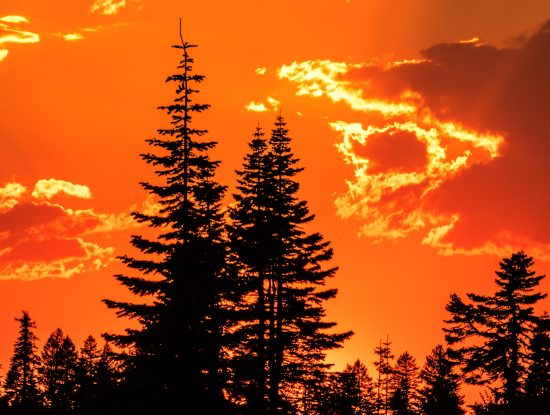 2020 Scenic Oregon Calendar Images
